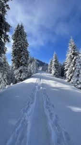 Laber Oberammergau Skitour